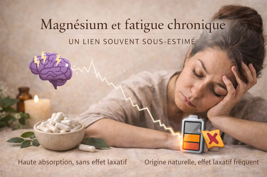 Magnésium et fatigue chronique : un lien souvent sous-estimé Althevia