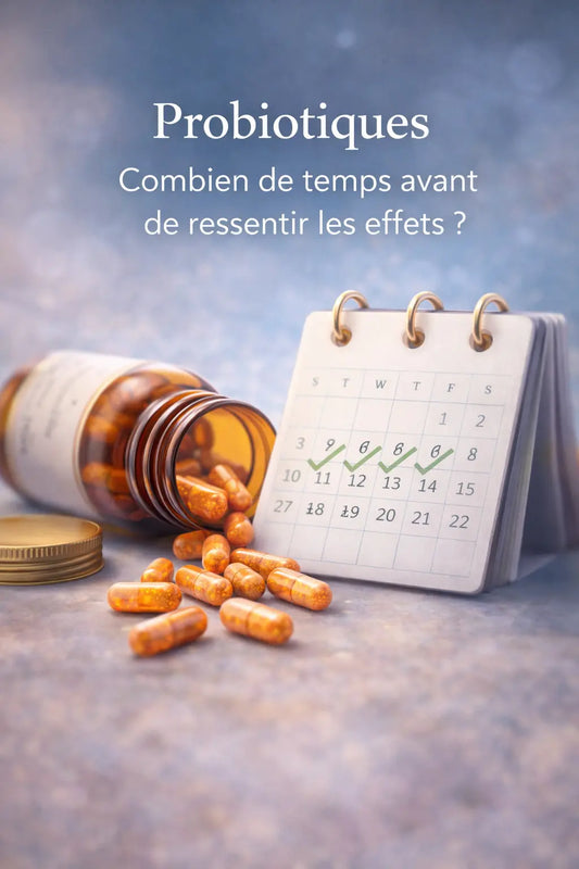 Probiotiques : combien de temps avant de ressentir les effets ? Althevia