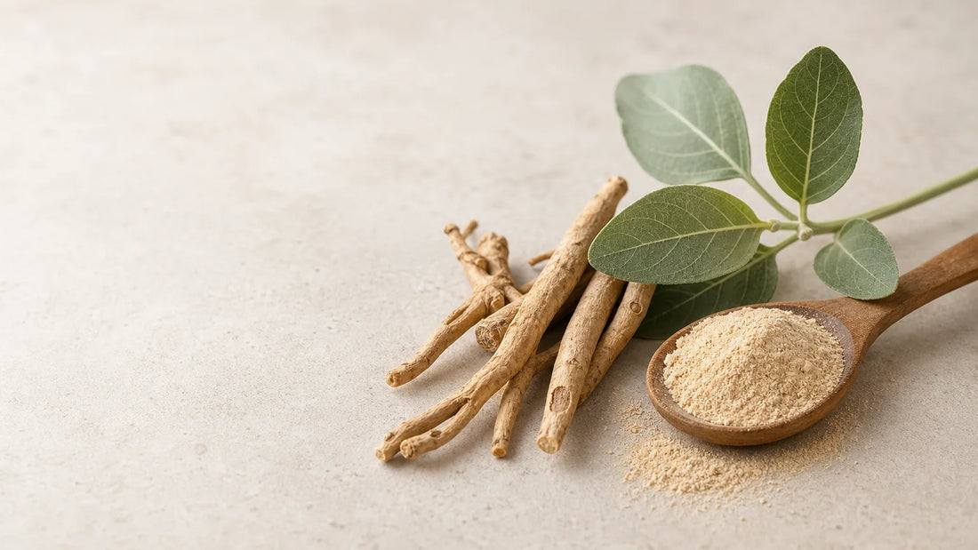 Racine et poudre d’ashwagandha présentées dans une composition éditoriale